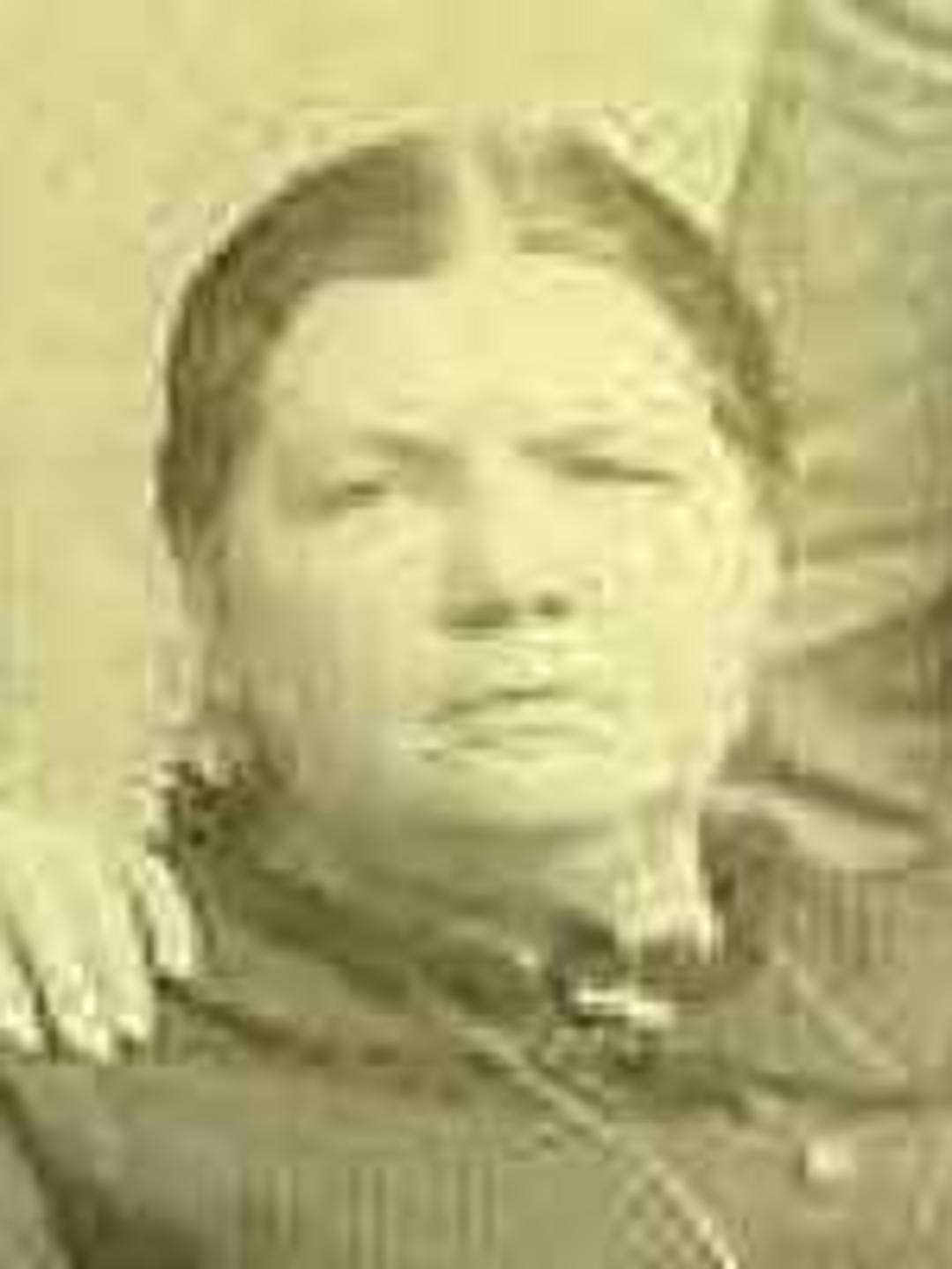 Margery May Bain (1833 - 1911) Profile